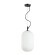 Подвесной светильник с 1 плафоном Odeon Light 4751/1 ROOFI под лампу 1xE27 60W