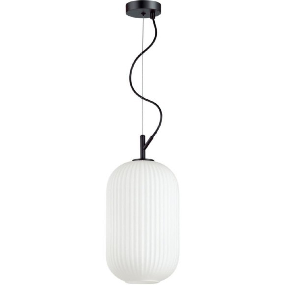 Подвесной светильник с 1 плафоном Odeon Light 4751/1 ROOFI под лампу 1xE27 60W