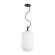 Подвесной светильник с 1 плафоном Odeon Light 4751/1 ROOFI под лампу 1xE27 60W