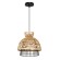 Подвесной светильник Arte Lamp WOODSTOCK A7070SP-1BK