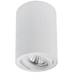 Точечный накладной светильник Arte Lamp SENTRY A1566PL-1WH Точечный накладной светильник Arte Lamp SENTRY A1566PL-1WH