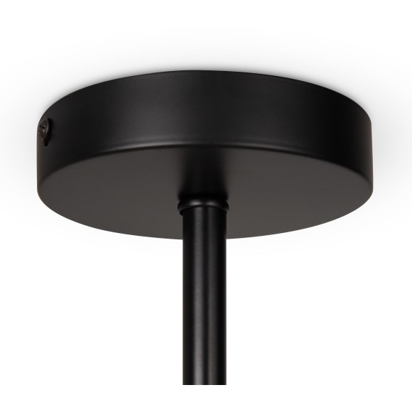 Потолочный светильник Freya FR5376CL-06B