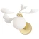 Бра Crystal Lux COLIBRI AP1 GOLD