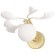 Бра Crystal Lux COLIBRI AP1 GOLD
