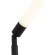 SL393.405.01 Торшер ST-Luce Черный/Белый LED 1*10W 4000K BISARIA