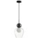 Подвесной светильник с 1 плафоном Odeon Light 5023/1 Blacky под лампу 1xG9 5W