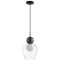 Подвесной светильник с 1 плафоном Odeon Light 5023/1 Blacky под лампу 1xG9 5W