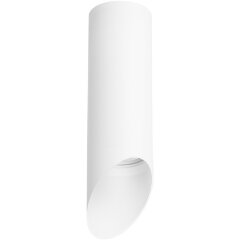 Накладной потолочный светильник Lightstar R48636 RULLO под лампу 1xGU10 50W Накладной потолочный светильник Lightstar R48636 RULLO под лампу 1xGU10 50W