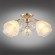 Потолочная люстра 290 OML-29007-05 Потолочная люстра 290 OML-29007-05