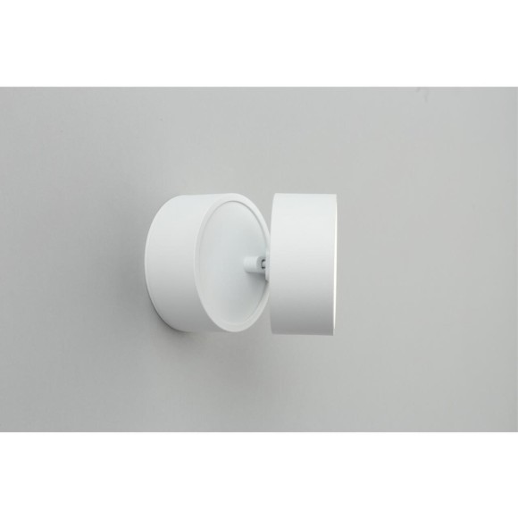 Точечный светильник Lenno OML-101309-12 Точечный светильник Lenno OML-101309-12