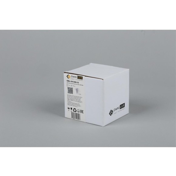 Точечный светильник Lenno OML-101309-12 Точечный светильник Lenno OML-101309-12