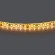 Лента теплого белого свечения 24V Lightstar Lightstar 420853 Лента теплого белого свечения 24V Lightstar Lightstar 420853