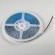 Лента теплого белого свечения 24V Lightstar Lightstar 420853 Лента теплого белого свечения 24V Lightstar Lightstar 420853