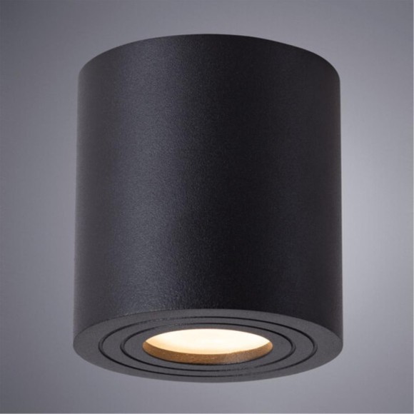 Уличный потолочный светильник Arte Lamp A1460PL-1BK GALOPIN IP44 под лампу 1xGU10 35W