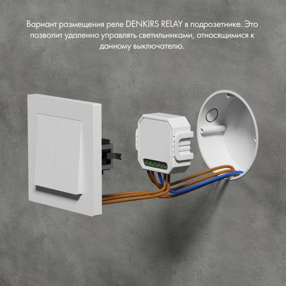 RL1004-DM/1 Двухканальное Wi-Fi реле-диммер Denkirs