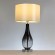 Декоративная настольная лампа Arte Lamp NAOS A5043LT-1BK