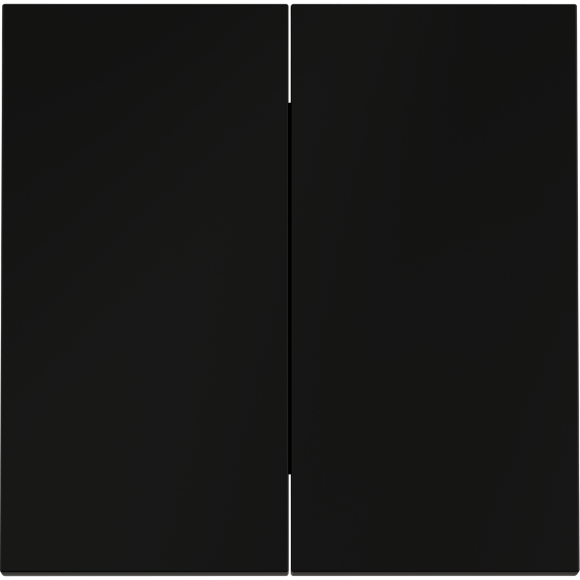 Клавиши для выключателя/переключателя двухклавишного, S70 (черный матовый)