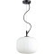 Подвесной светильник с 1 плафоном Odeon Light 4753/1 ROOFI под лампу 1xE27 60W