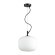 Подвесной светильник с 1 плафоном Odeon Light 4753/1 ROOFI под лампу 1xE27 60W