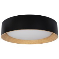 10202 Black Потолочный светильник LOFT IT Coin