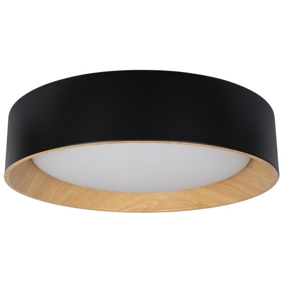 10202 Black Потолочный светильник LOFT IT Coin