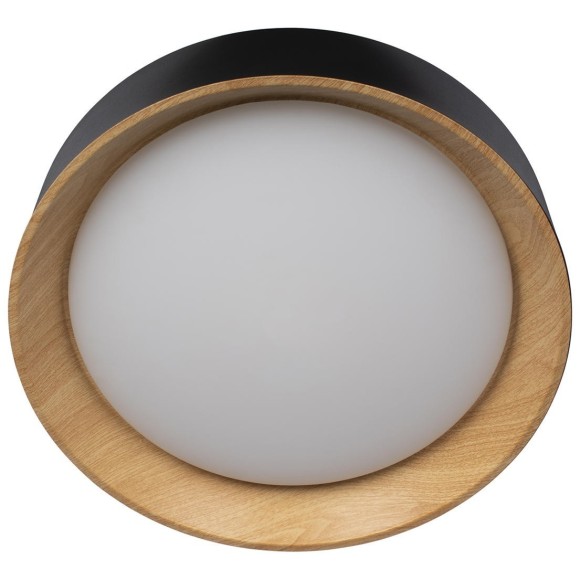 10202 Black Потолочный светильник LOFT IT Coin