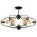 Люстра потолочная Arte Lamp A1963PL-6BK GLASGOW под лампы 6xE27 40W