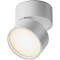 Потолочный светильник Technical C024CL-L12W3K