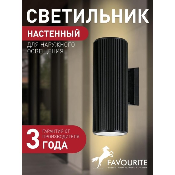 Уличный настенный светильник Favourite 2858-2W Pola IP54 под лампы 2xE27 60W