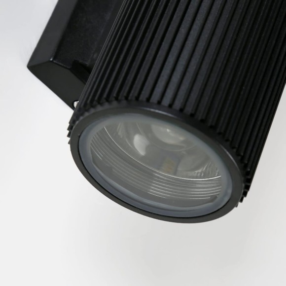 Уличный настенный светильник Favourite 2858-2W Pola IP54 под лампы 2xE27 60W