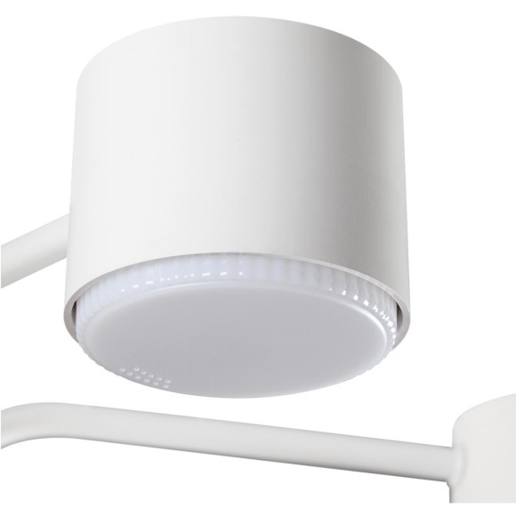 Светильник потолочный GX53 220V Lumion RONDO 8231/6C Светильник потолочный GX53 220V Lumion RONDO 8231/6C