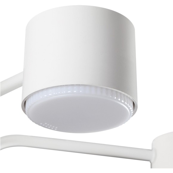 Светильник потолочный GX53 220V Lumion RONDO 8231/6C Светильник потолочный GX53 220V Lumion RONDO 8231/6C