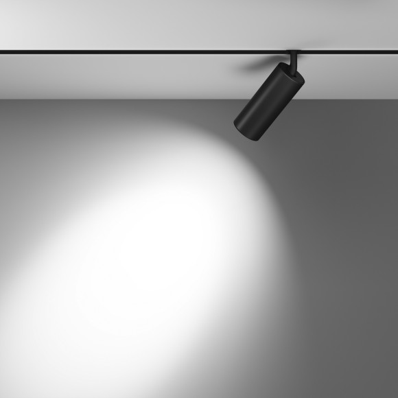 TR032-2-20W4K-S-B Трековый магнитный светодиодный светильник Maytoni Exility CRI90+ 4000К 1500Лм 36° 20Вт TR032-2-20W4K-S-B Трековый магнитный светодиодный светильник Maytoni Exility CRI90+ 4000К 1500Лм 36° 20Вт