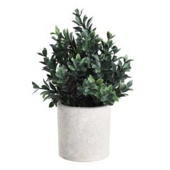 428028 Искусственное растение в горшке CHITOSE, H230, ?180, пластик, коричневый, зеленый 428028 Искусственное растение в горшке CHITOSE, H230, ?180, пластик, коричневый, зеленый