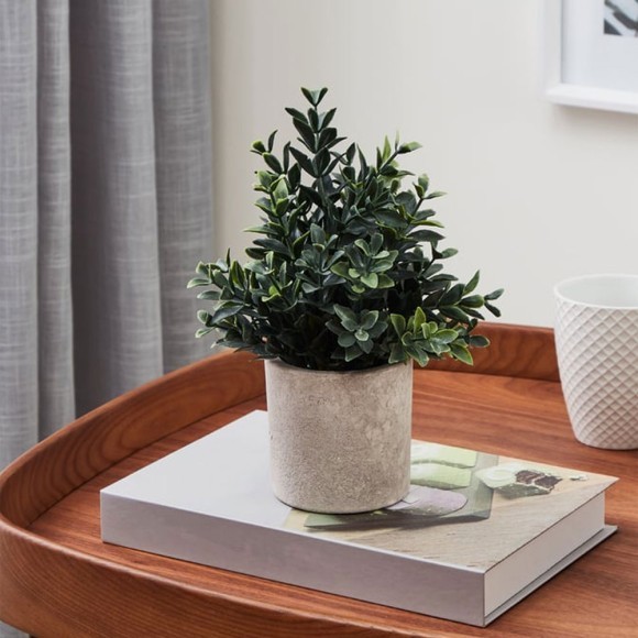 428028 Искусственное растение в горшке CHITOSE, H230, ?180, пластик, коричневый, зеленый 428028 Искусственное растение в горшке CHITOSE, H230, ?180, пластик, коричневый, зеленый