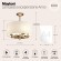 Люстра подвесная Maytoni H007PL-04G Anna под лампы 4xE14 40W