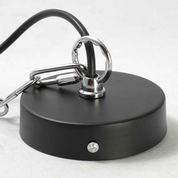 Подвесной светильник с 1 плафоном Lussole LSP-8029 KETCHIKAN IP21 под лампу 1xE27 60W