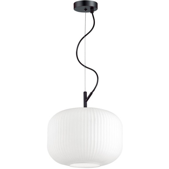 Подвесной светильник с 1 плафоном Odeon Light 4754/1 ROOFI под лампу 1xE27 60W