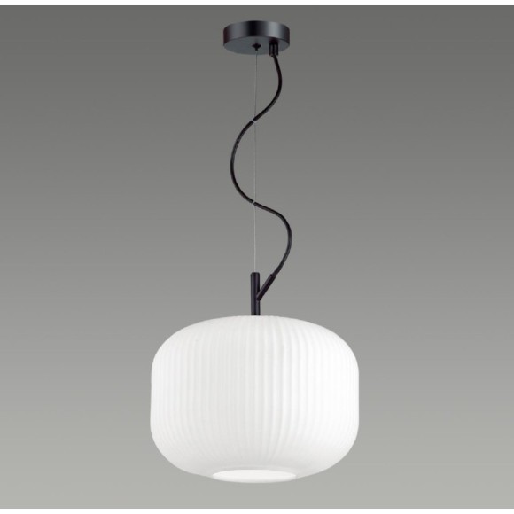 Подвесной светильник с 1 плафоном Odeon Light 4754/1 ROOFI под лампу 1xE27 60W