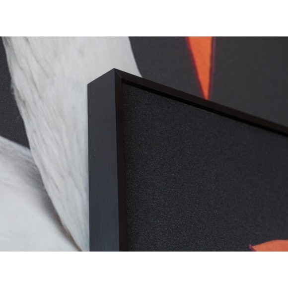 Декоративная картина FP Hermes Swan 50-70