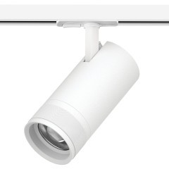 Трековый белый однофазный двужильный светильник 30W 2100Лм 20-55град с плоским креплением Canno Pro Lightstar C4306SS Трековый белый однофазный двужильный светильник 30W 2100Лм 20-55град с плоским креплением Canno Pro Lightstar C4306SS