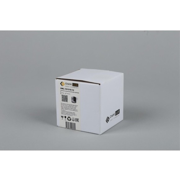 Точечный светильник Lenno OML-101319-12