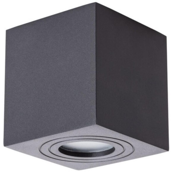 Уличный потолочный светильник Arte Lamp A1461PL-1BK GALOPIN IP44 под лампу 1xGU10 35W