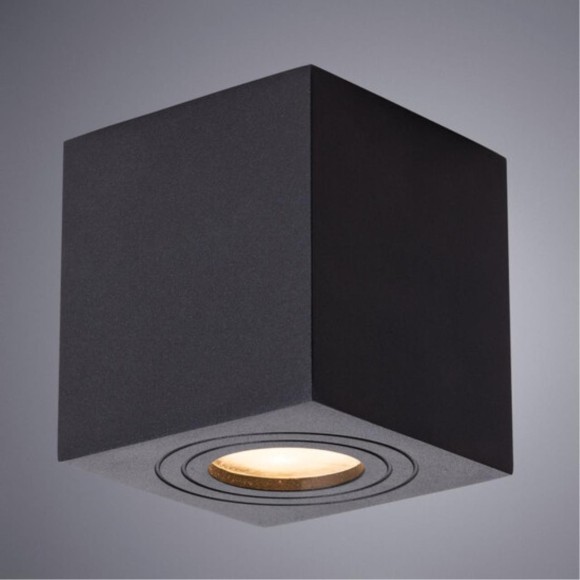 Уличный потолочный светильник Arte Lamp A1461PL-1BK GALOPIN IP44 под лампу 1xGU10 35W
