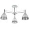 Потолочная люстра Arte Lamp FIAMMA A3521PL-3CC