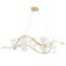 Люстра Crystal Lux COLIBRI SP6 GOLD