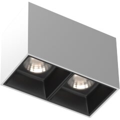 Потолочный светильник Technical C065CL-02-L12W4K-W