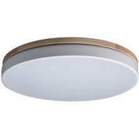 10001/36 White Потолочный светильник LOFT IT Axel