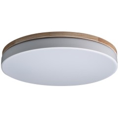 10001/36 White Потолочный светильник LOFT IT Axel