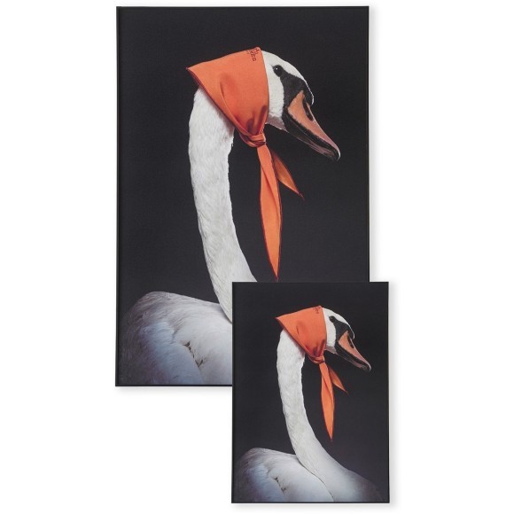 Декоративная картина FP Hermes Swan 80-120